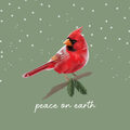 Image Not Available